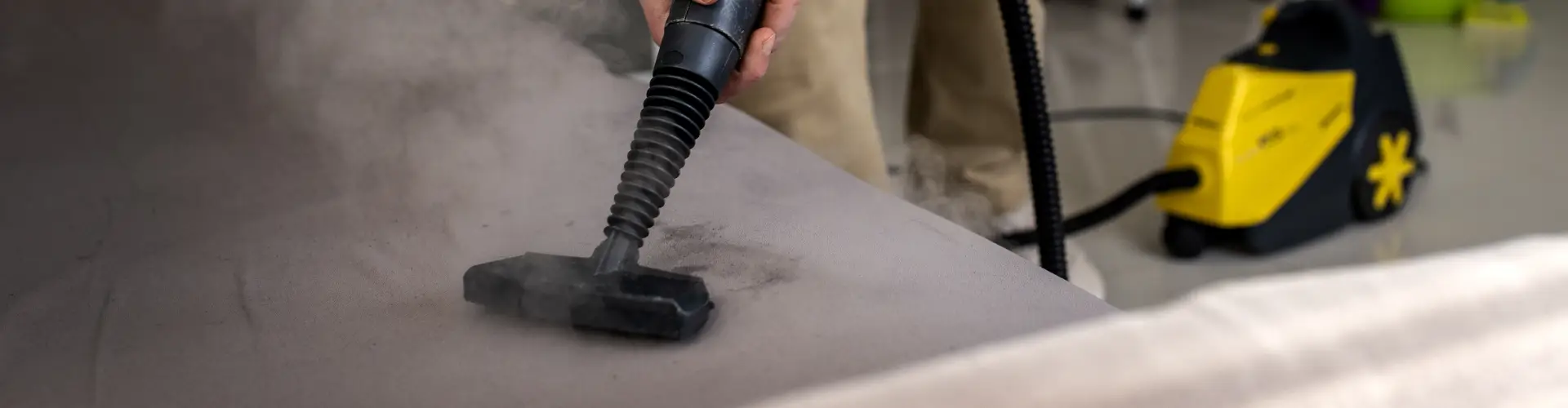 Professional upholstery cleaning service