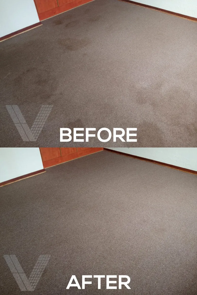 Vilux Cleaning Before and After Photos - Vilux-Carpet-10.webp