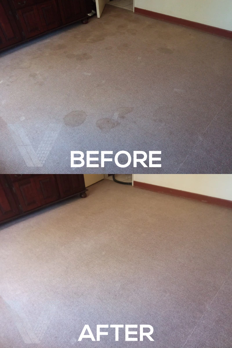 Vilux Cleaning Before and After Photos - Vilux-Carpet-15.webp