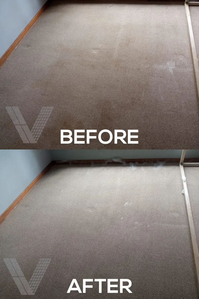 Vilux Cleaning Before and After Photos - Vilux-Carpet-19.webp