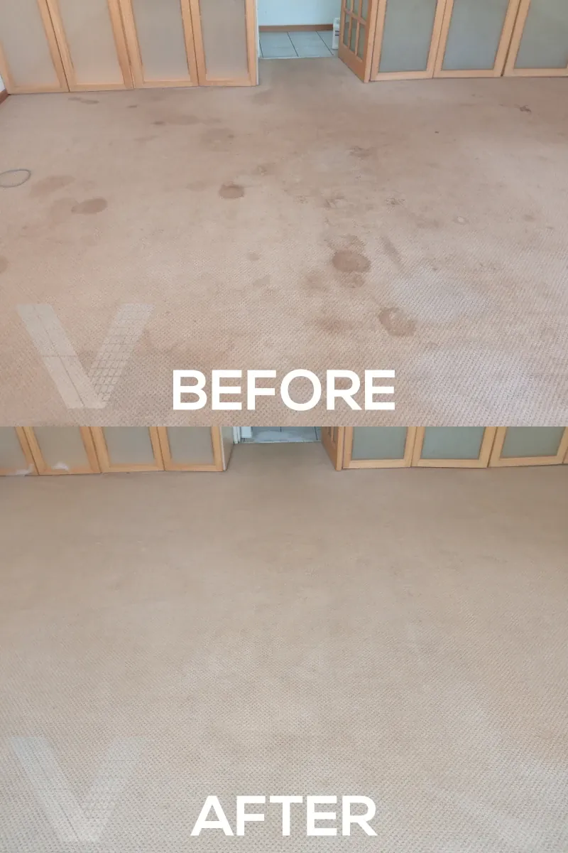 Vilux Cleaning before and after results