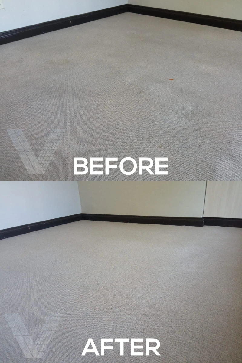 Vilux Cleaning Before and After Photos - Vilux-Carpet-8.webp