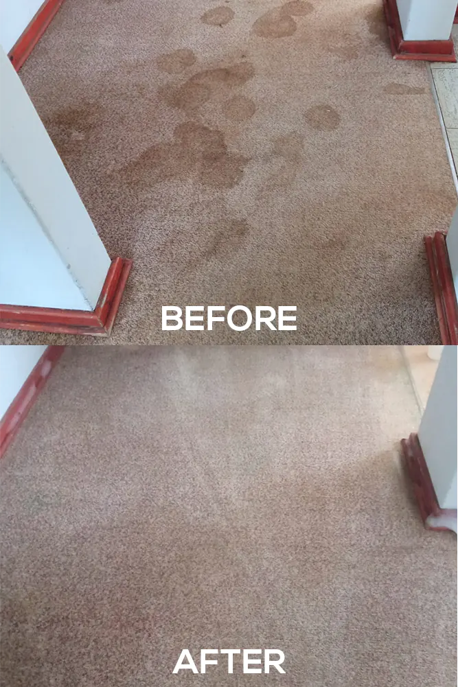Vilux Cleaning Before and After Photos