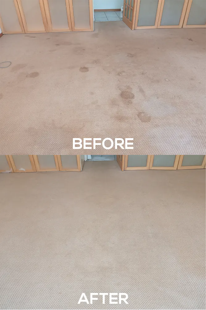 Vilux Cleaning Before and After Photos