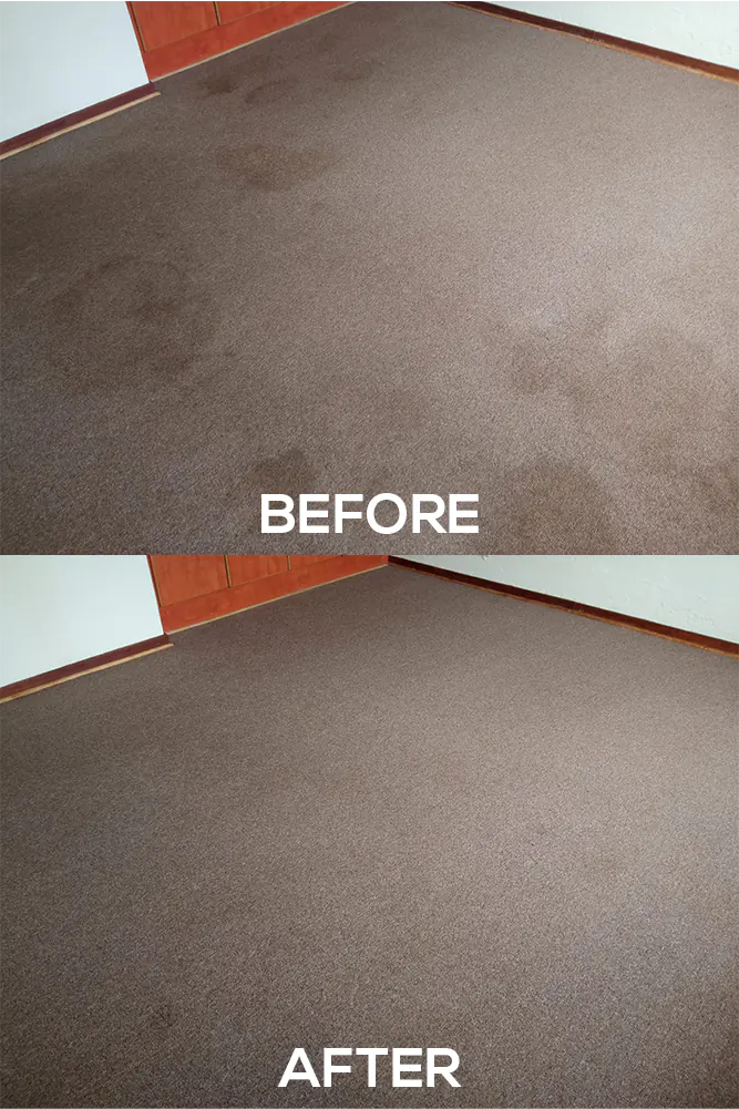 Vilux Cleaning Before and After Photos